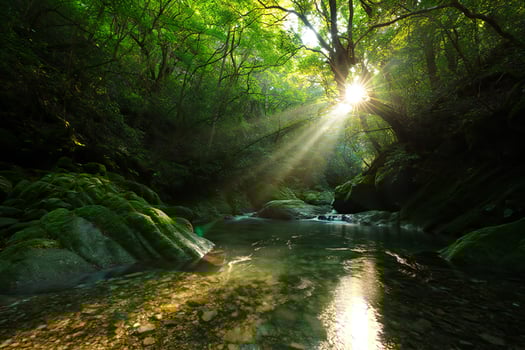 Nature Background Serene Sunbeams Illuminating Mossy Rocks and Crystal Clear Stream in Lush Green Forest photo
