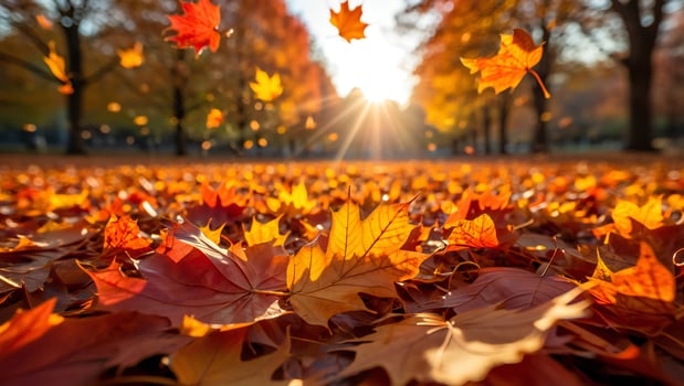 Nature Background Golden Autumn Leaves Falling in Park Vibrant Fall Foliage Sunny Day photo