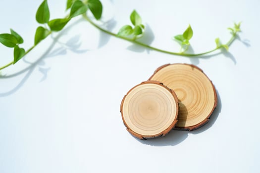 Nature Background Natural Wood Slices with Greenery Eco Friendly Organic Minimalist Design Elements photo