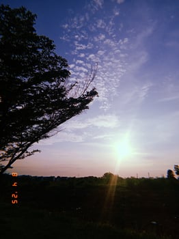 before dusk makes for a beautiful silhouette photo
