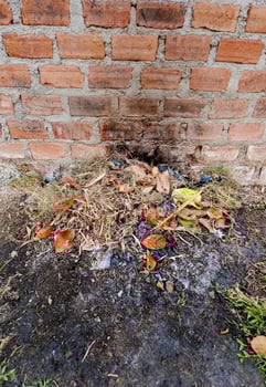 a pile of trash and leaves in front of a brick wall photo
