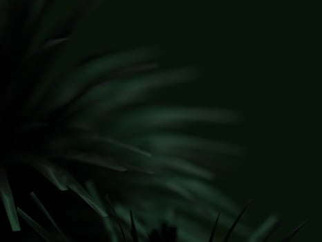 Subtle dark green leaves with soft light casting gentle shadows on the surface. photo