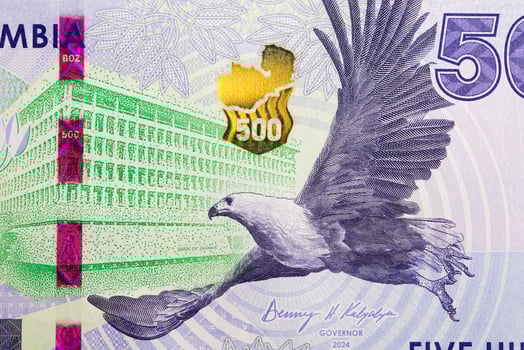 Flying African Fish Eagle from Zambian money photo
