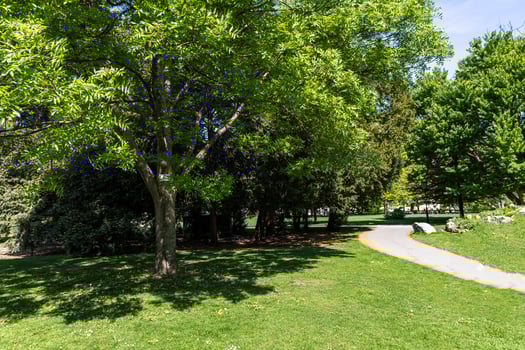Green spring park in the historical part of Austria, Vienna photo