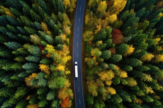 Road Through a Colorful Autumn Forest with Trees Changing Color from Above photo