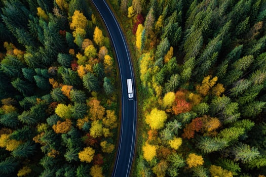 Scenic Aerial View of a Vehicle Traveling Through the Colorful Autumn Forest photo