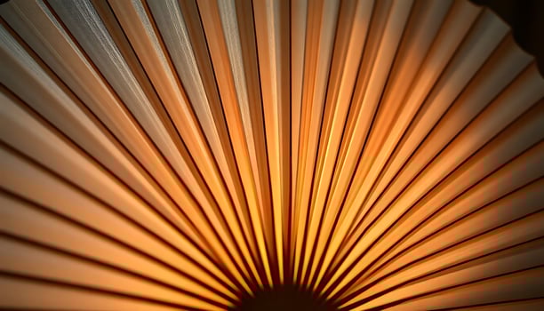 close up of a fan with a light shining on it photo