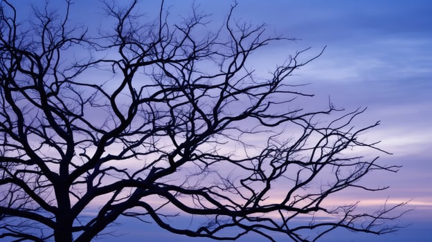 navy blue branches photo