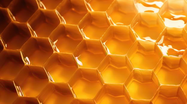 honeycomb wax texture photo