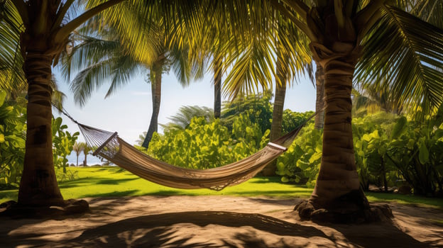 oasis palm tree with hammock photo