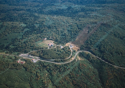 an aerial view of a road and a forest photo