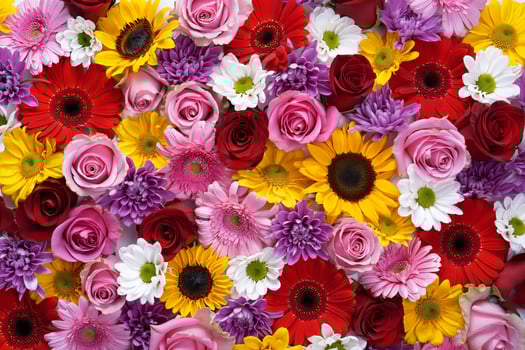 Flowers Background Vibrant Floral Background Colorful Roses Gerbera Daisies Sunflowers Chrysanthemums photo