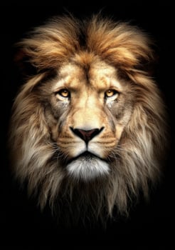 The Majestic Lion A Symbol of Power Courage and Bravery in Nature photo