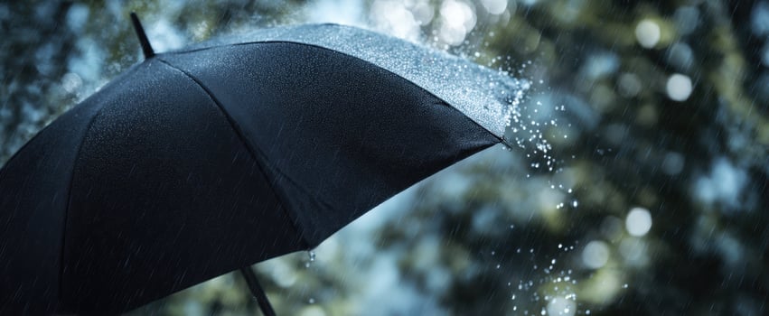 The elegant black umbrella shielding against the gentle rain and moisture. photo