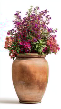Vibrant Purple Flowers Blooming in a Rustic Terracotta Pot on a Bright Backdrop. photo