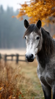 Beautiful gray horse stands among golden autumn foliage in a serene landscape during early morning photo