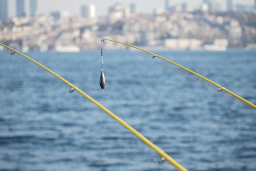 Fishing rods lined up by the water in a coastal city photo
