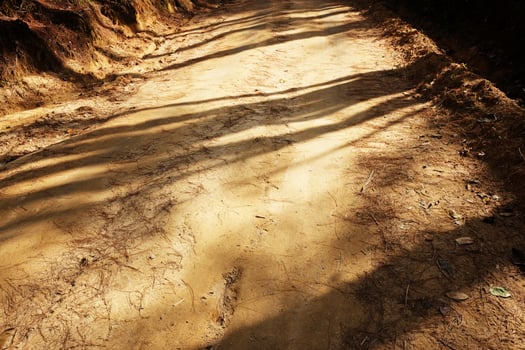 Beautiful sunshine on walking route dirty road in natural sunlight photo