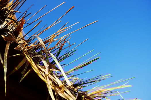 Close up eaves of a dry thatched roof of tradition house with sunny and blue sky in Thailand photo