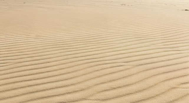 Beige sand texture with rhythmic wavy lines, perfect for clean background use in websites, flyers, or eco-conscious brand visuals. photo