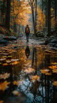 Walking through a serene forest stream reflecting autumn colors on a calm day in nature photo