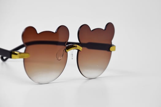 Fun Bear Costume Glasses Isolated photo