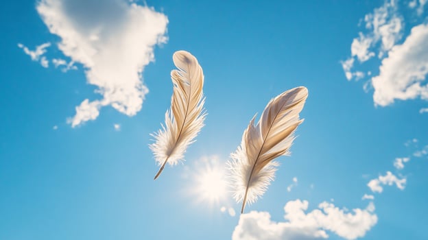 Serene Composition of Bird Feathers in a Vibrant Blue Atmosphere photo