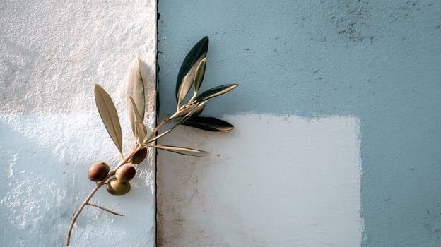 Olive Branch on Soft Pastel Blue Background with Abstract Blocks photo