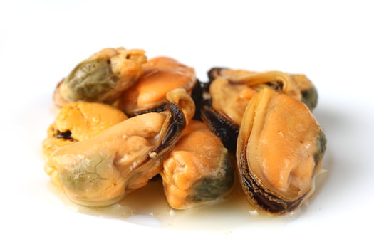 Fresh mussels served on a white plate ready for a delicious seafood meal photo