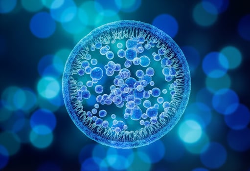 Circular Germ Structures in Focus photo