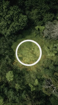 Unique Circular Sculpture Surrounded by Lush Greenery in a Serene Outdoor Setting. photo