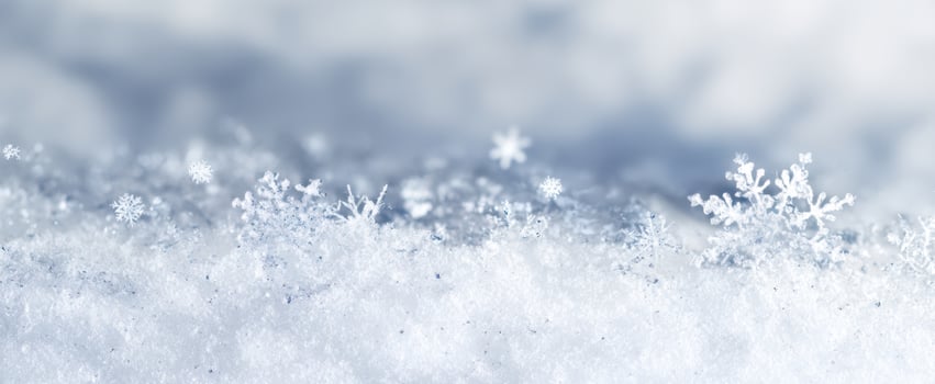 The delicate snowflakes resting gently on a blanket of pristine snow. photo