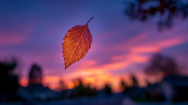 Orange Leaf Silhouette Against Vibrant Sunset Sky photo