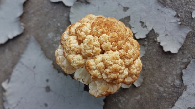 Close up of a cauliflower head on a surface with peeling paint creating a textured background photo
