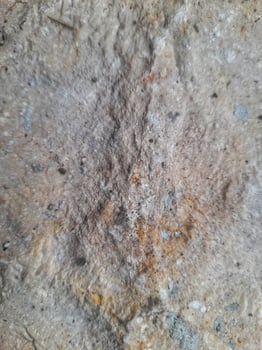 A close-up image of a textured stone surface, showcasing natural patterns, cracks, and earthy tones in shades of gray and brown. photo