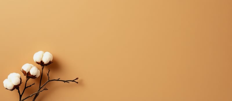 Cotton branch with white fluffy bolls on warm beige background creating calm natural scene photo