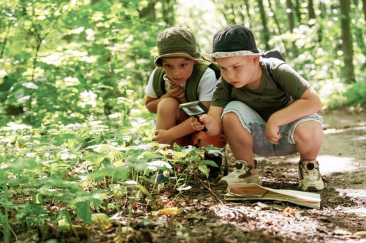 Kids in, forest at summer daytime together. photo