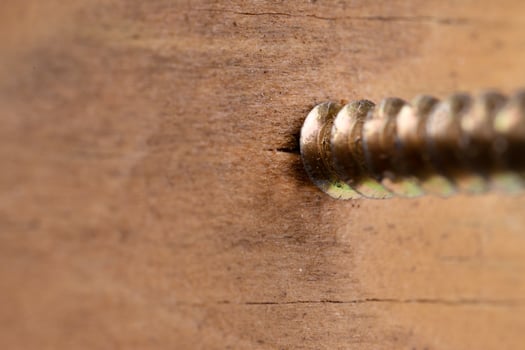 Wood Screw Head Entering Timber Surface photo