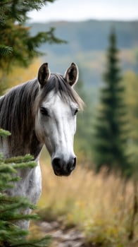 Majestic white horse peering through trees in a serene forest during early autumn photo