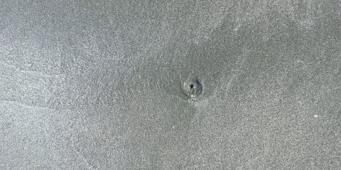 Shellfish holes on the sandy beach, nature background, travel relax seashore photo