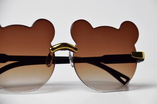 Cute bear design eyewear detail photo