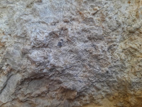 Rough stone surface with mixed beige and gray tones, showing natural erosion, uneven texture, and layered mineral patterns. photo