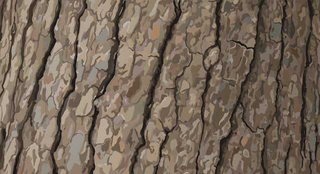 Tree bark texture, excellent for digital backgrounds, forest-themed print materials, or educational botanical content. photo