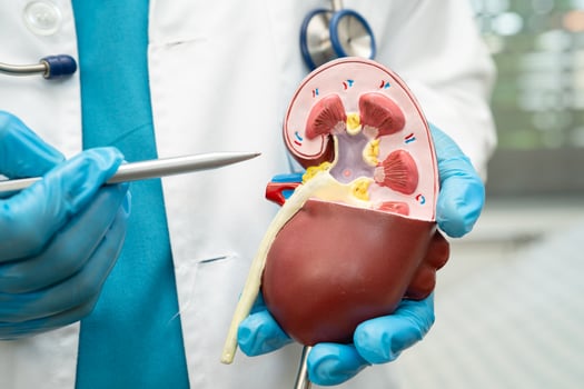 Kidney disease Chronic kidney disease ckd for treatment photo