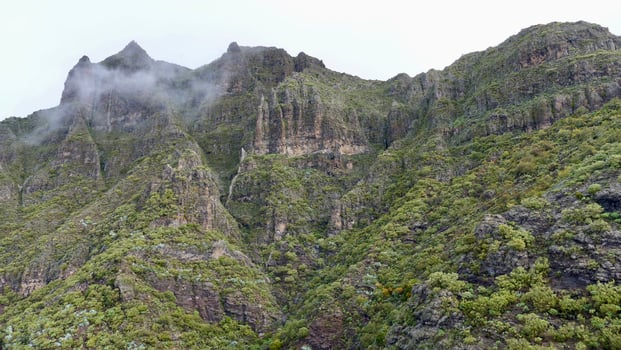 A mountain with a lot of vegetation on it photo