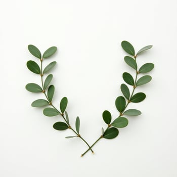 Simple Greenery for Nature-Themed Designs photo