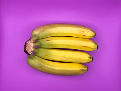 4 bright yellow bananas, uncut, lying next to each other on a bright purple background, top view photo