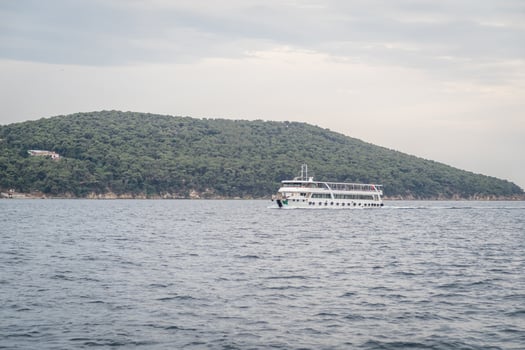 Exploring Prince Islands by ferry as passengers enjoy a scenic ride across tranquil waters on a cloudy day photo