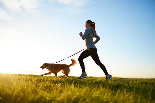 Dog Background Woman Jogging with Dog in Grassy Field at Sunset Active Lifestyle photo