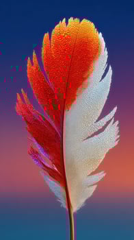Vivid feather with colorful droplets against a gradient background during twilight photo